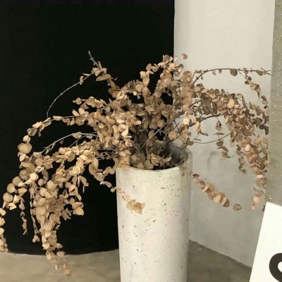 兽设晴天场景绘制福瑞交流群